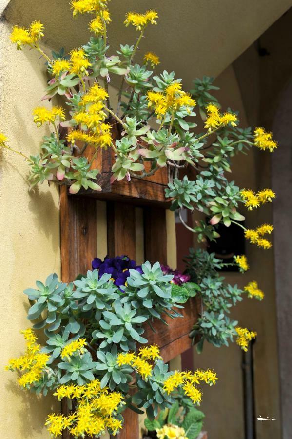Bed & Breakfast San Rocco 2*